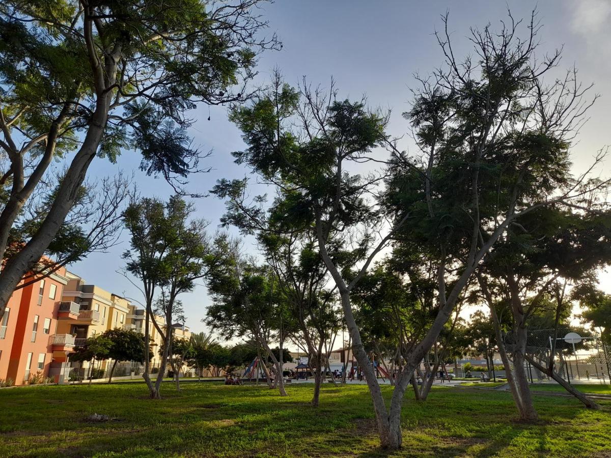 Tenerife Homestay ซานมิเกลเดียโบนา ภายนอก รูปภาพ